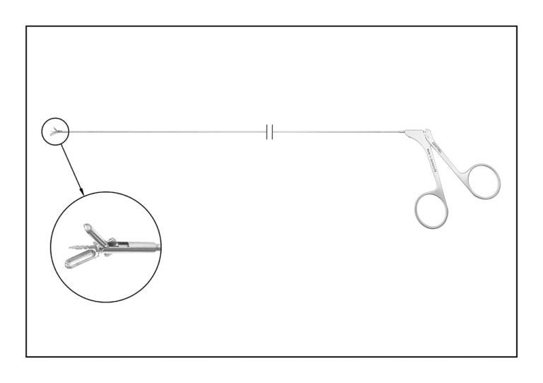 Biopsy Snake Grasper sec. VITALE – figura 1 di 2